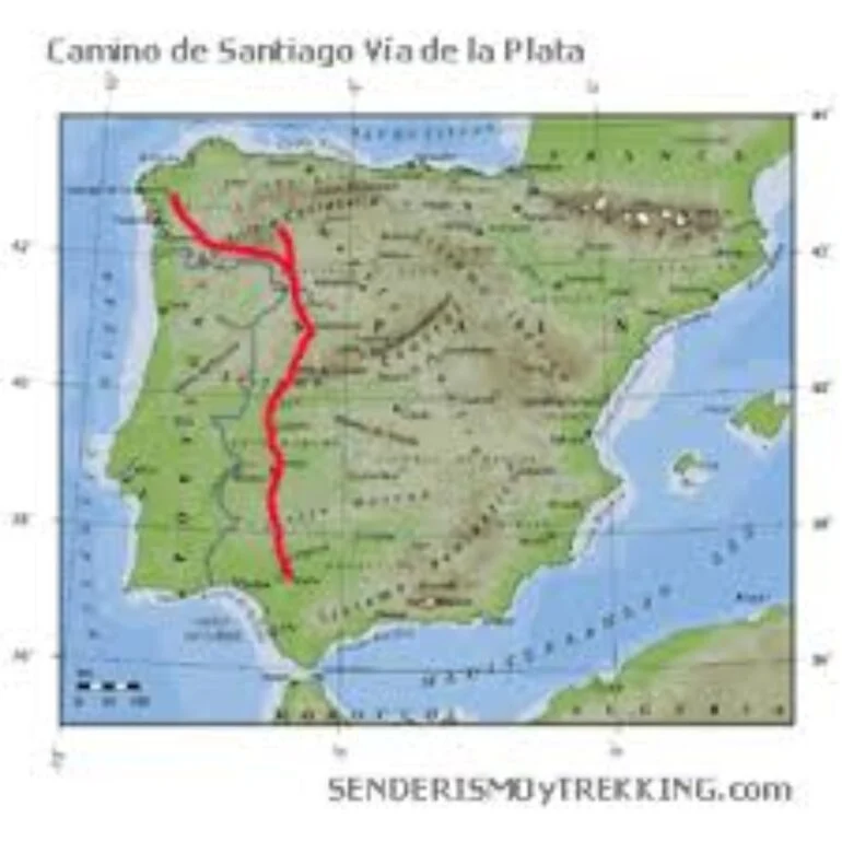 descarga (3) (1)