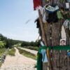  Canarias se suma al Camino de Santiago