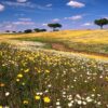  El Camino de Santiago más alternativo recorre el Alentejo
