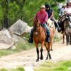  Claves para hacer el Camino de Santiago a caballo o en bicicleta