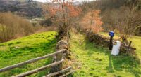  V Jornadas Culturales sobre el Camino de Santiago