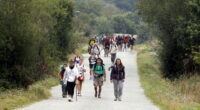  ¡¡¡Récord de peregrinos en el Camino!!!