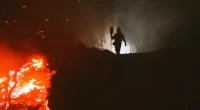  ¡¡¡Dos incendios provocados en el Camino de Santiago!!!