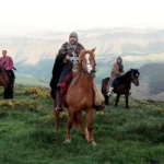 El Papa Francisco saludo a los peregrinos