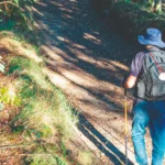 El Papa Francisco saludo a los peregrinos