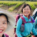 “La espiritualidad del Camino de Santiago atrae a los japoneses”