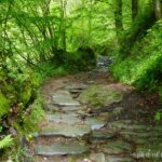 Grado comienza sus charlas formativas