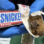 Proyección de «The Way» por el Aniversario de los Caminos del Norte