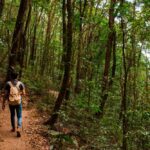 Francisco Singul: Un Experto que Navega el Pasado y Futuro del Camino de Santiago