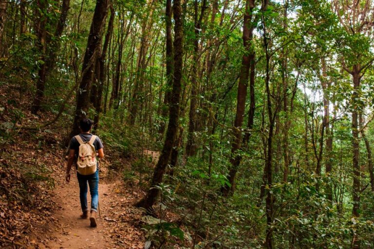 5 Consejos de Preparación Física para el Camino de Santiago