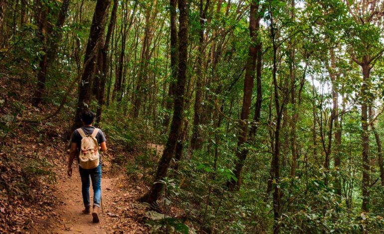  5 Consejos de Preparación Física para el Camino de Santiago