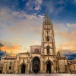 ¡Captura la Magia del Camino!