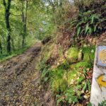 Jóvenes Protagonistas: La AMCS Impulsa la Participación