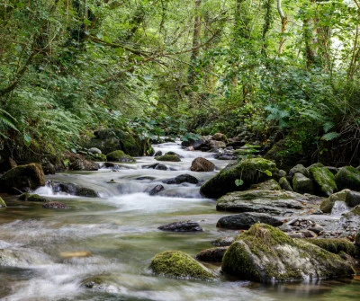 pola d'allenda camí primitiu