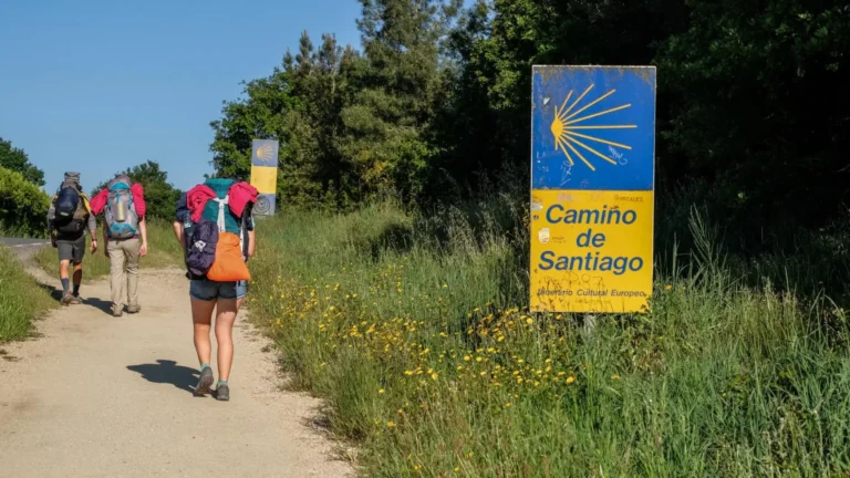 El Fenómeno del Camino en TikTok