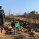 Astorga Embellece el Camino de Santiago