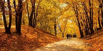 Por Qué el Otoño es la Época Ideal para hacer el Camino