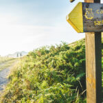 ¡Descubre el Otoño Dorado de Liébana! El Camino Lebaniego