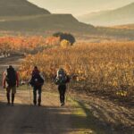 De Burgos a Liébana: El «Ramal Lebaniego»
