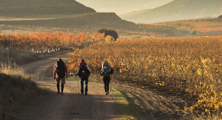 ¿Menos Peregrinos en La Rioja?