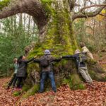La Catedral de Santiago se Moderniza con IA