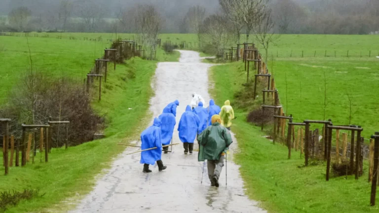 ¡Récord Histórico!El Camino Inglés Supera 30.000 Compostelas