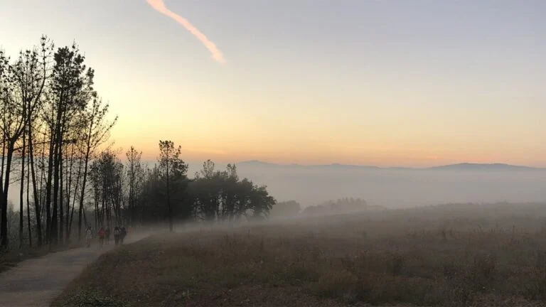 El silencio en el Camino de Santiago