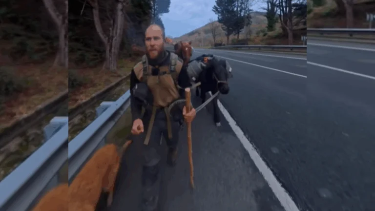 De Praga a Finisterre con un caballo, un poni y dos perros