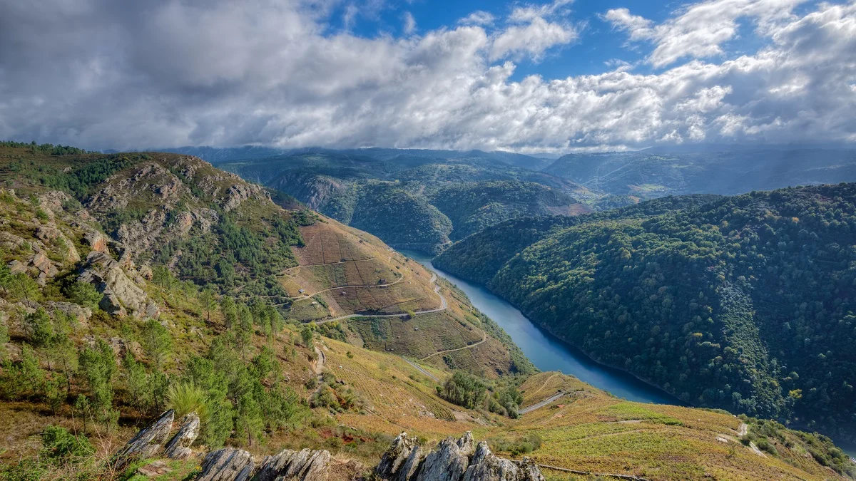 La Ribeira Sacra ispira: nuovo libro sul Camino de Santiago