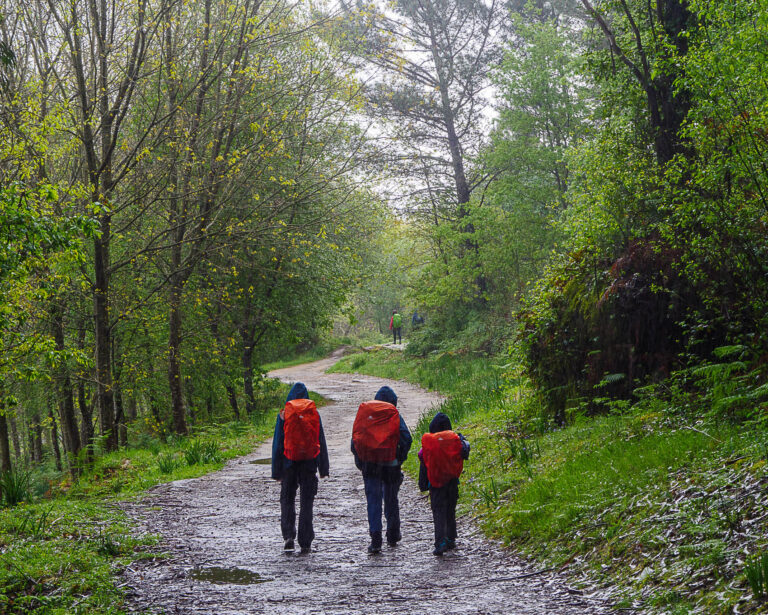 Los temporales sacuden el Camino de Santiago