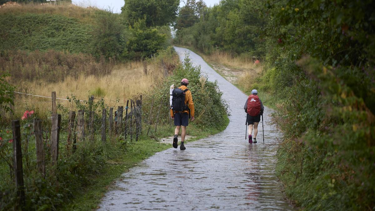 9f5b6c29-01d6-487e-9073-ca713792e062_16-9-discover-aspect-ratio_default_0