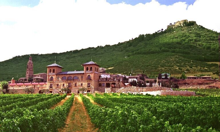 Villamayor de Monjardín, storia, vino e riposo si uniscono