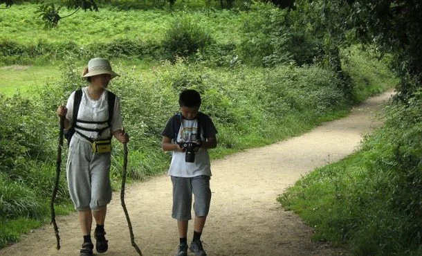 Fotografia facilitada per Gu Shengrong i el seu fill Wang Rongzhi caminant per una zona boscosa del Camí de Sant Jaume. La Ruta Jacobea és cada cop més popular a la Xina… Efe