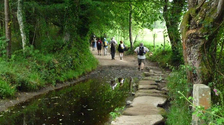 Group of hikers walking along a shaded forest trail beside a narrow water-filled ditch with stone stepping stones.