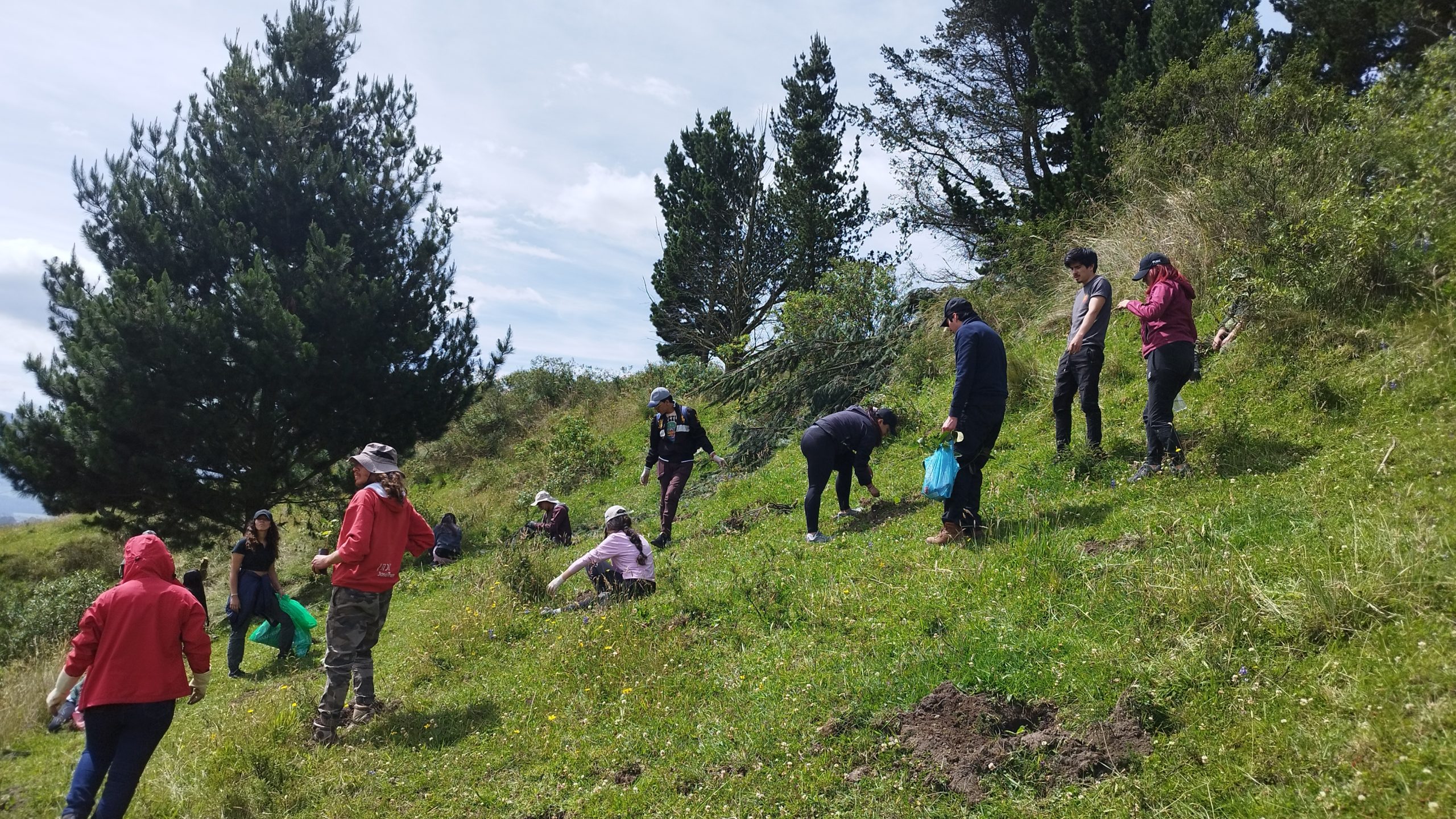 Group of volunteers and hikers on a grassy hillside collecting litter with bags, against a backdrop of trees and blue sky.