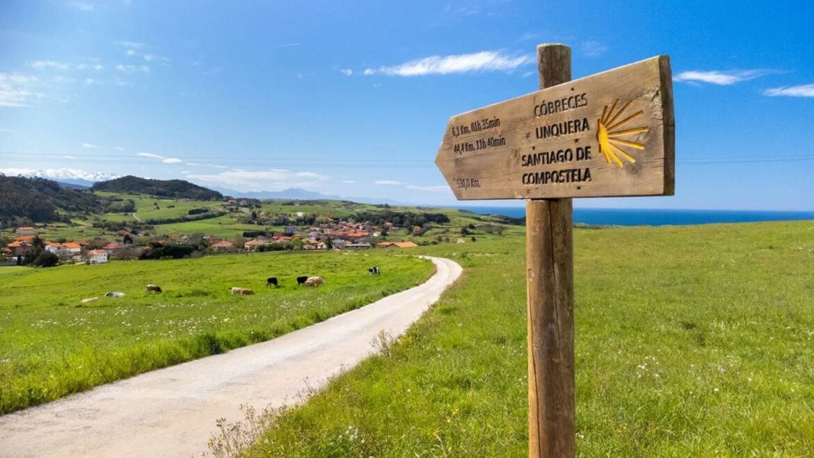 Wooden signpost along a rural Camino path, pointing toward Santiago de Compostela, with green fields, cows, and a distant village by the sea.