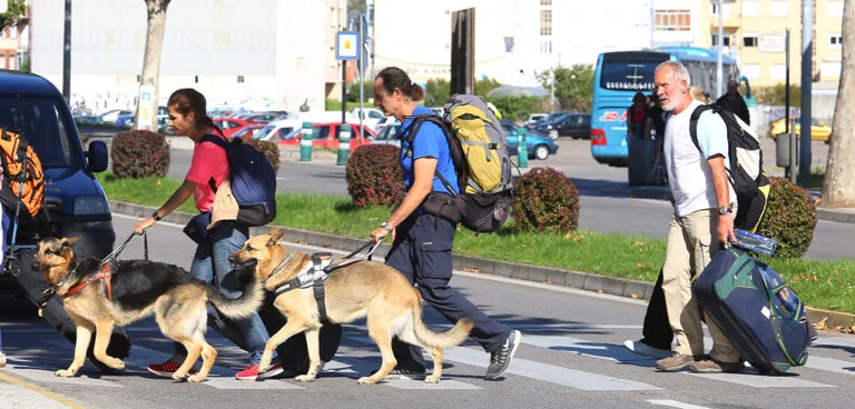 Así viven el Camino de Santiago las personas ciegas