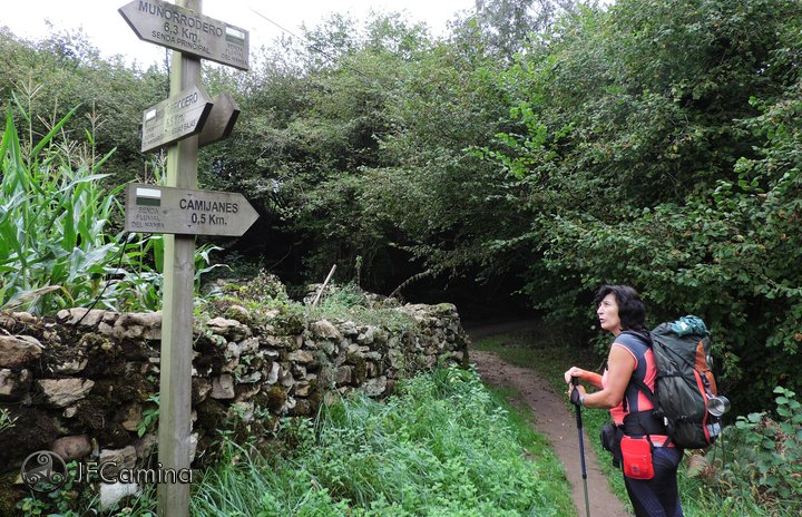 Hiker with a large backpack standing on a dirt trail beside a wooden signpost in a green forest.