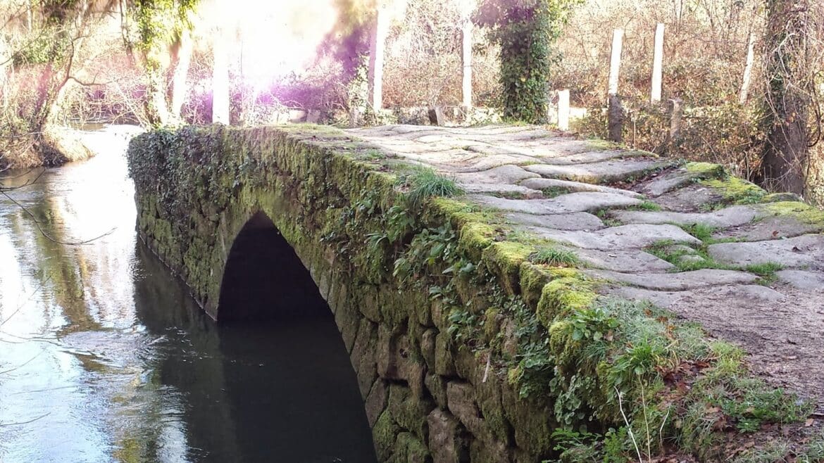 Old moss-covered stone bridge with a single arch spanning a calm river, surrounded by overgrown vegetation.