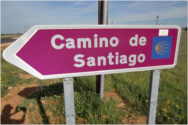 Purple sign reading 'Camino de Santiago' with a yellow shell emblem, pointing left along a rural road and field.