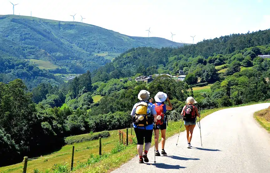 Drei Wanderer mit Rucksäcken und Trekkingstöcken wandern eine sonnige Landstraße entlang durch grüne Hügel, auf einem fernen Bergrücken sind Windkraftanlagen zu sehen.