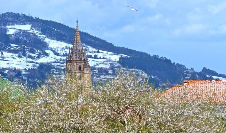 Stone church tower rising behind blossoming trees with snow-dusted hills in the background and a seagull in a blue sky.