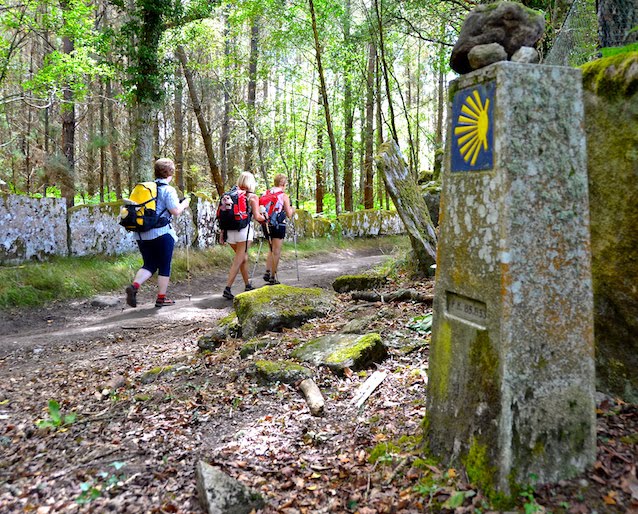 Group of hikers with backpacks walking along a forest trail past a stone marker with a blue panel and yellow scallop shell emblem on the right.