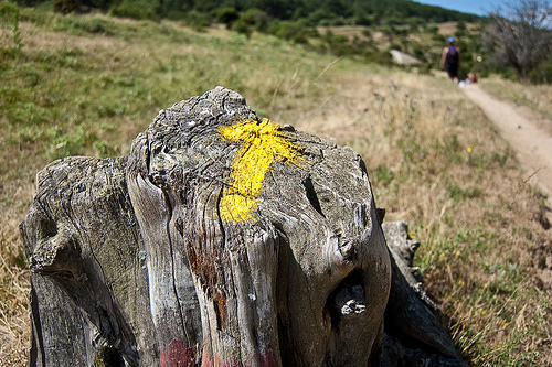 Weathered wooden post with a yellow trail marker in a grassy field along a dirt path; hikers in the background.