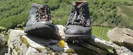 Pair of hiking boots resting on a rocky ledge with green hills in the background, a small yellow flower nearby.