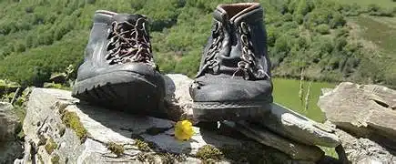 Paire hiking boots resting en rocky ledge s green hills in the background, a small yellow flower nearby.
