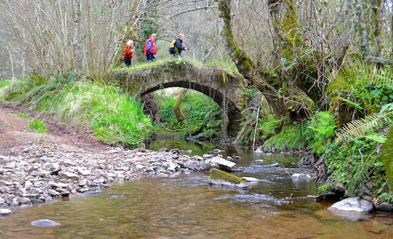 Three hikers cross a small mossy stone arch bridge over a shallow forest stream.
