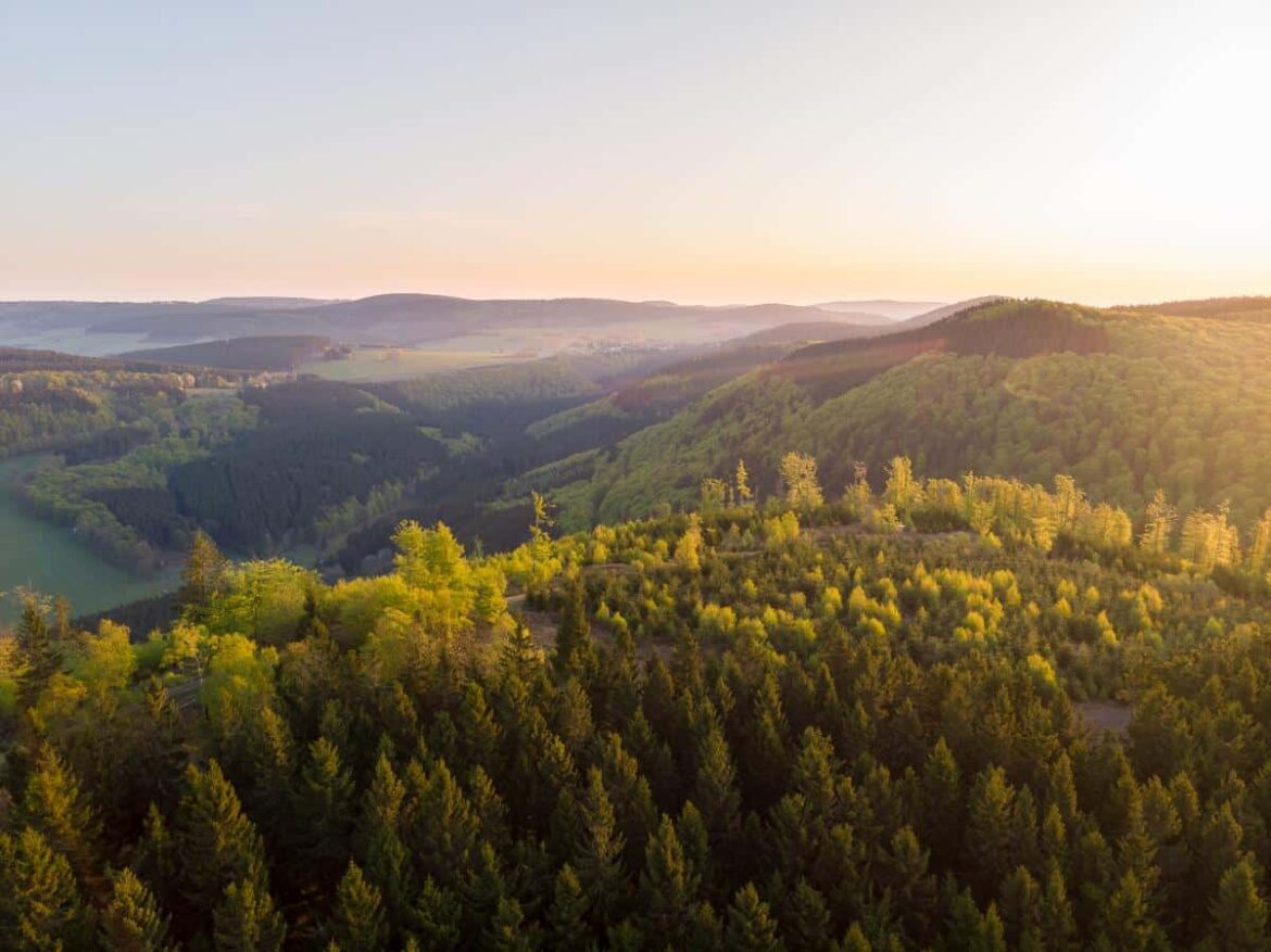 Sunset over rolling, forested hills with warm golden light on the treetops.
