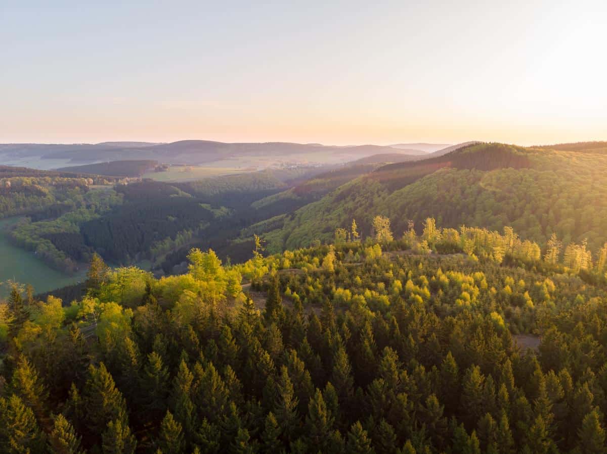 Sunset over rolling, forested hills with warm golden light on the treetops.