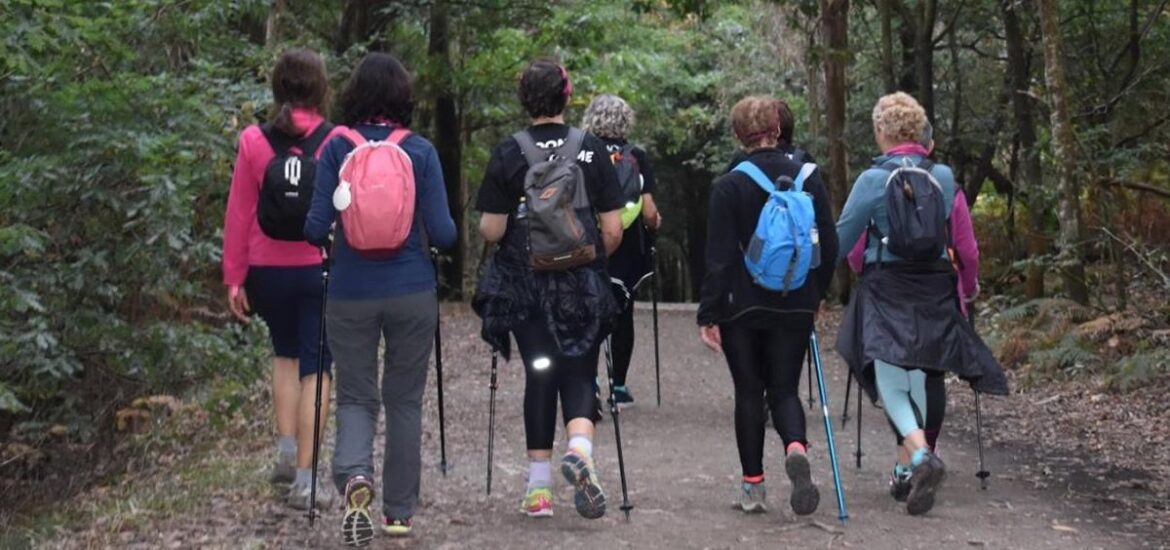 Group of hikers with backpacks walking away along a forest trail, using trekking poles.
